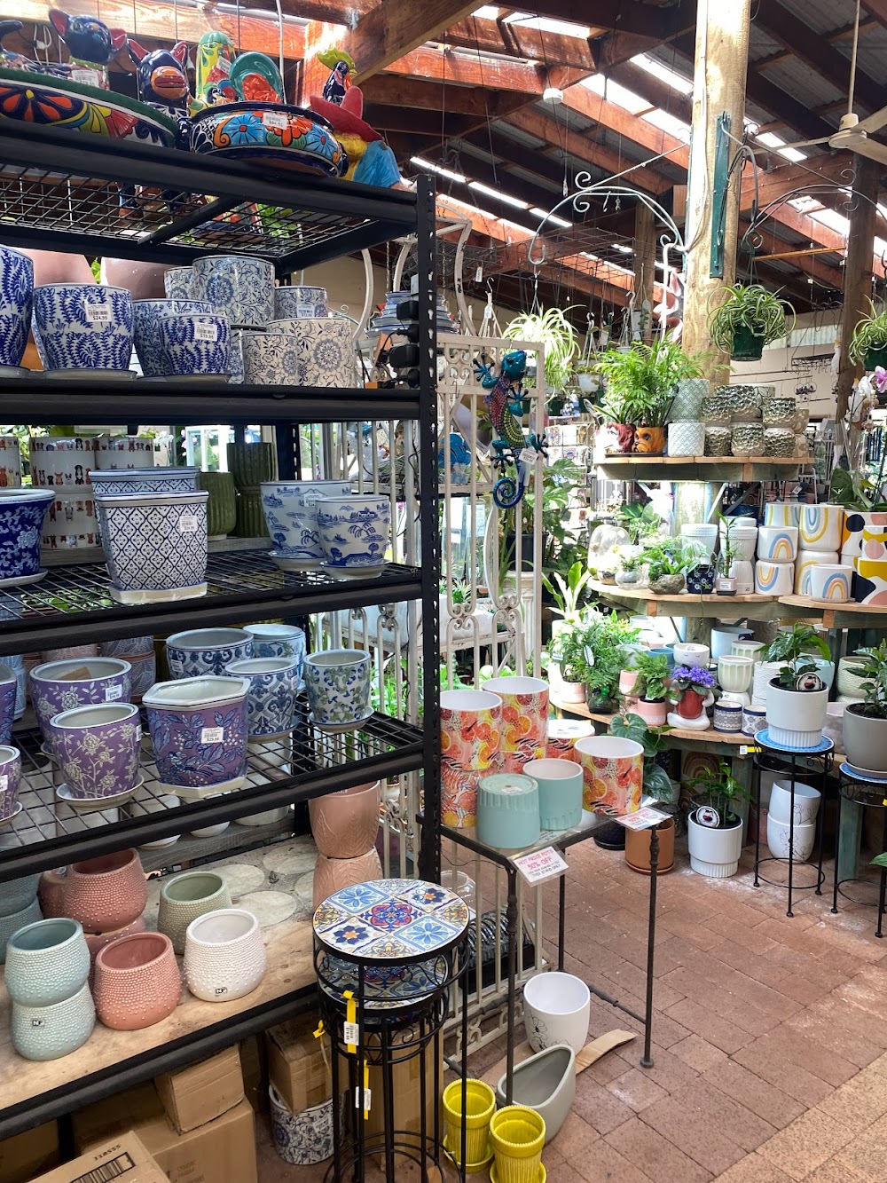 Altra Nursery — recent plant nursery photo in Mortdale NSW 2223, NSW (Google Business Profile)