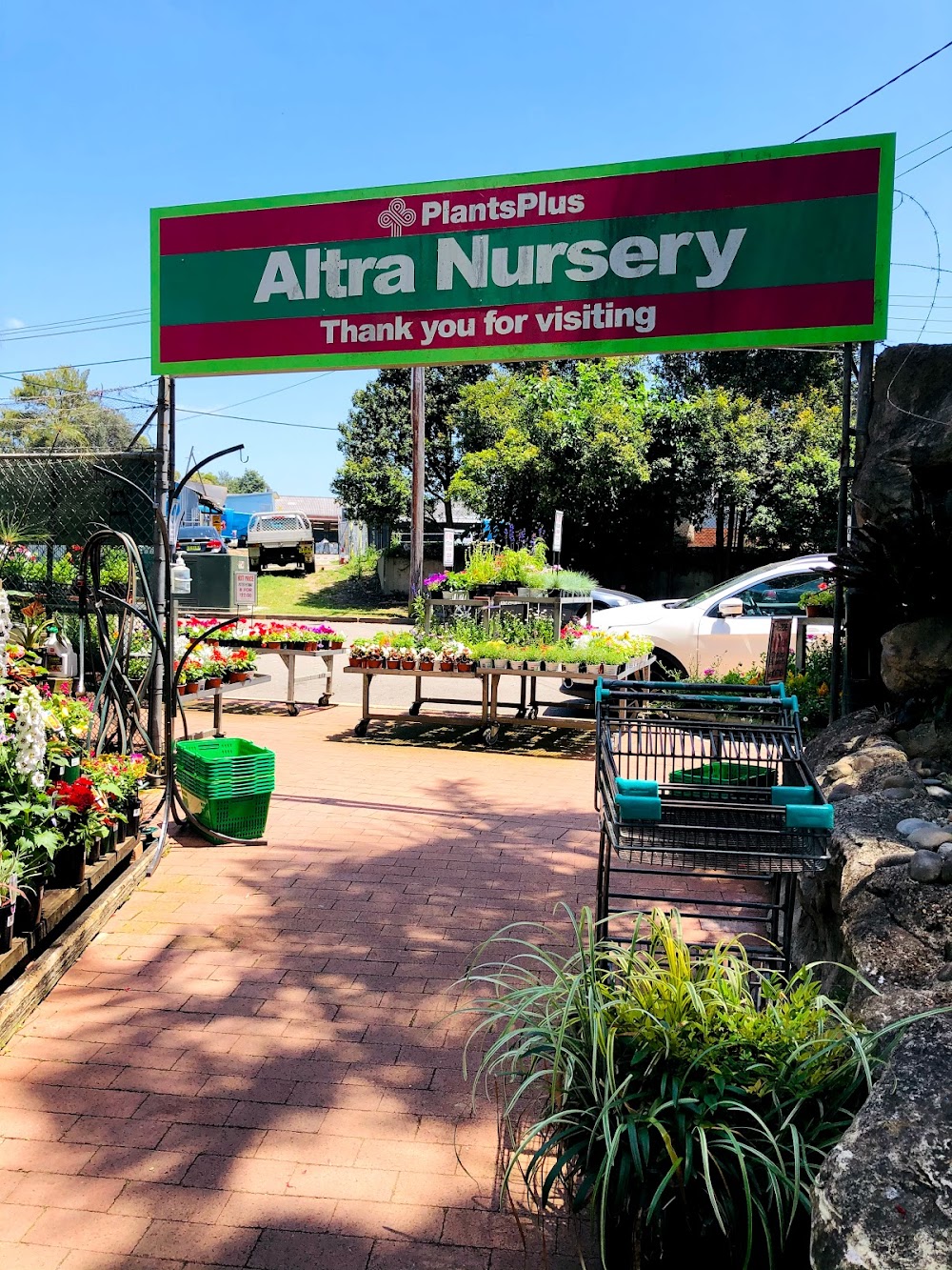 Altra Nursery — recent plant nursery photo in Mortdale NSW 2223, NSW (Google Business Profile)