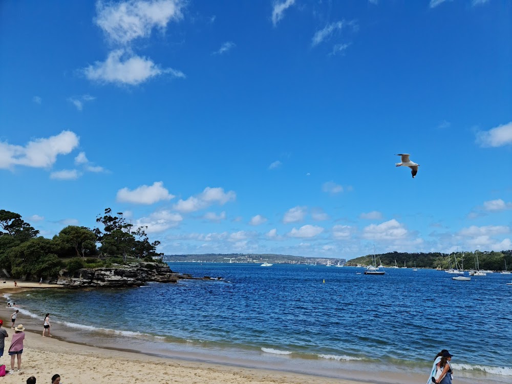 Balmoral Beach — recent beach photo in Australia, NSW (Google Business Profile)