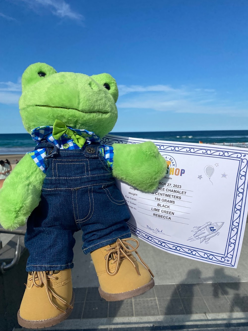 Build-A-Bear Workshop - Surfers Paradise — recent toy store photo in Surfers Paradise QLD 4217, QLD (Google Business Profile)