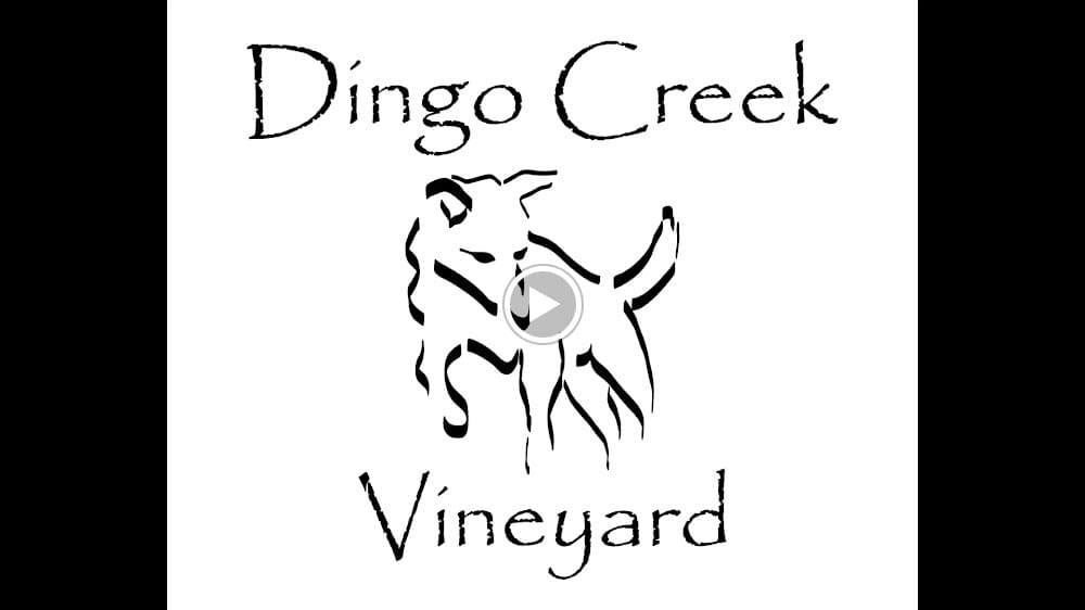 Dingo Creek Vineyard — recent vineyard photo in Traveston QLD 4570, QLD (Google Business Profile)