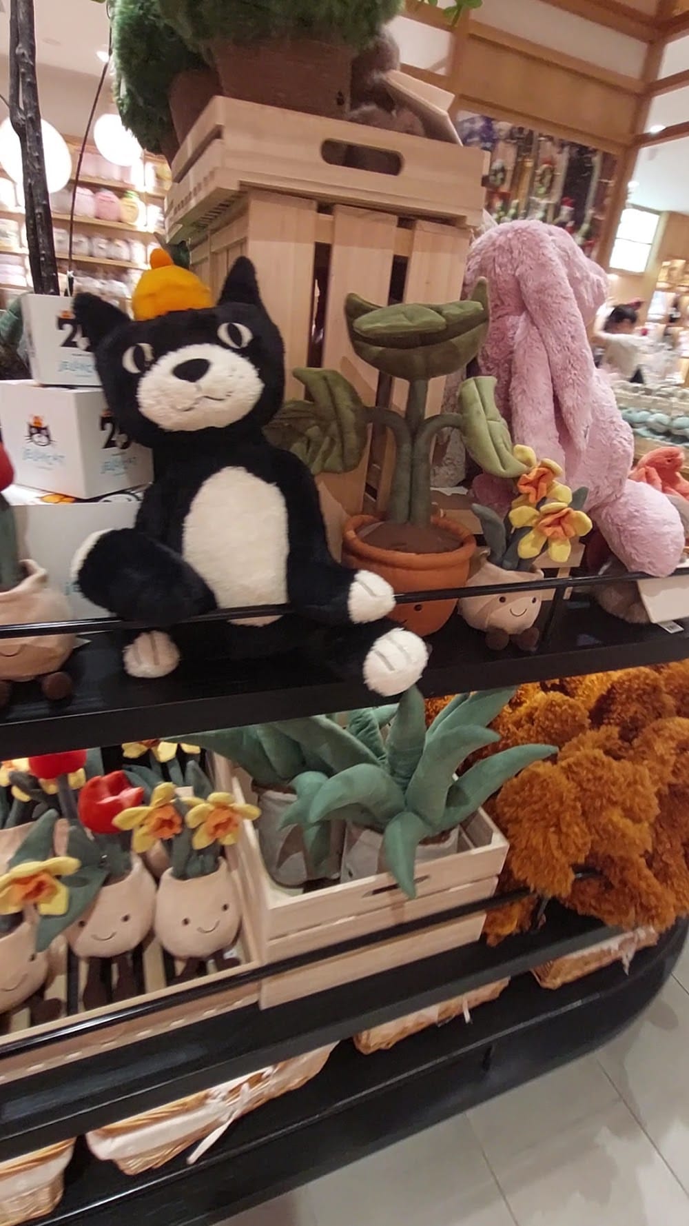 MeeQ Sydney — recent gift shop photo in Sydney NSW 2000, NSW (Google Business Profile)