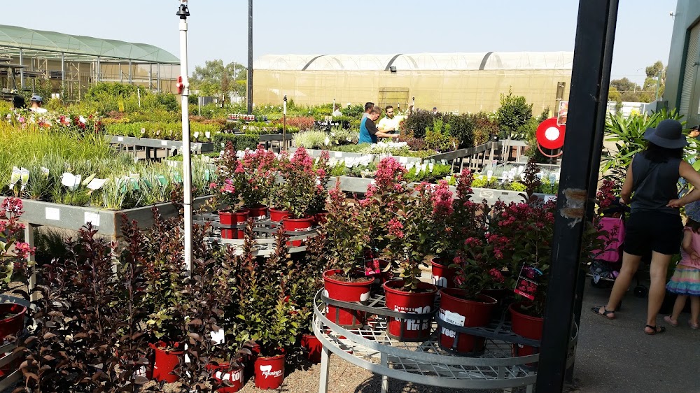 All Green Nursery & Garden — recent garden center photo in Hoppers Crossing VIC 3029, VIC (Google Business Profile)