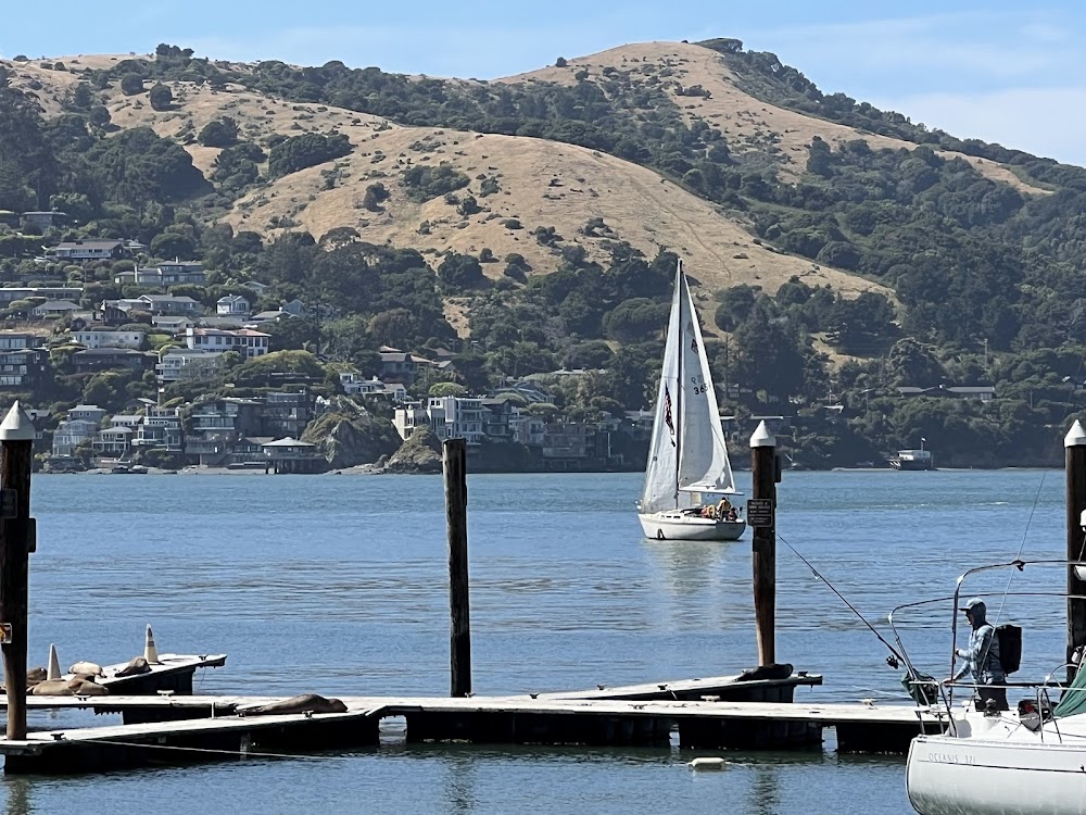 Angel Island Café — recent american restaurants photo in Belvedere Tiburon, CA (Google Business Profile)