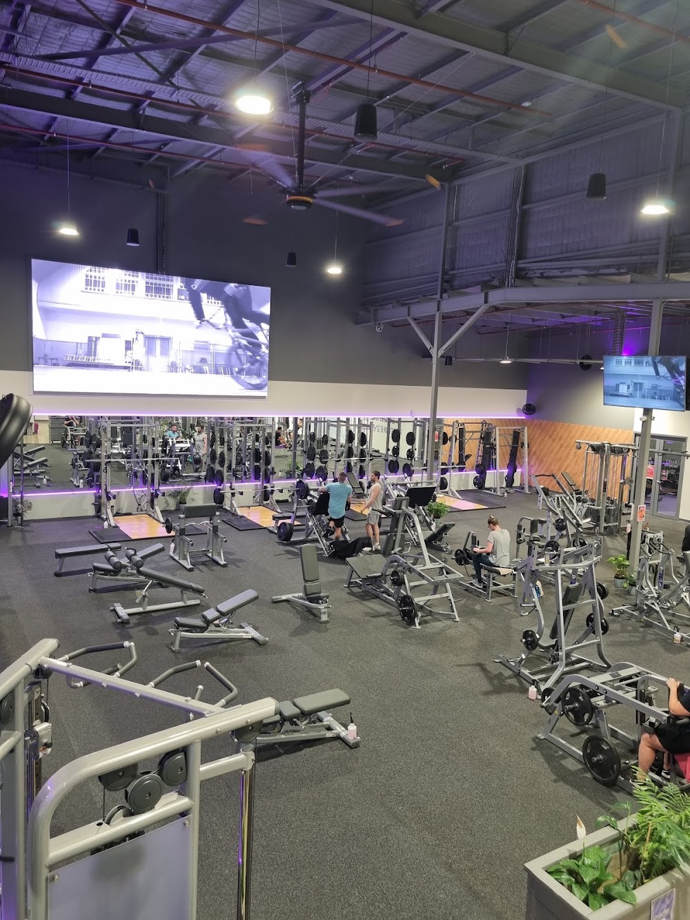 Anytime Fitness Meadow Springs — recent gym photo in Meadow Springs WA 6210, WA (Google Business Profile)