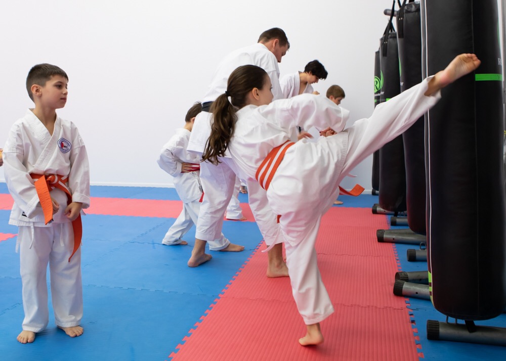 Australian Karate Academy — recent martial arts school photo in Botany NSW 2019, NSW (Google Business Profile)