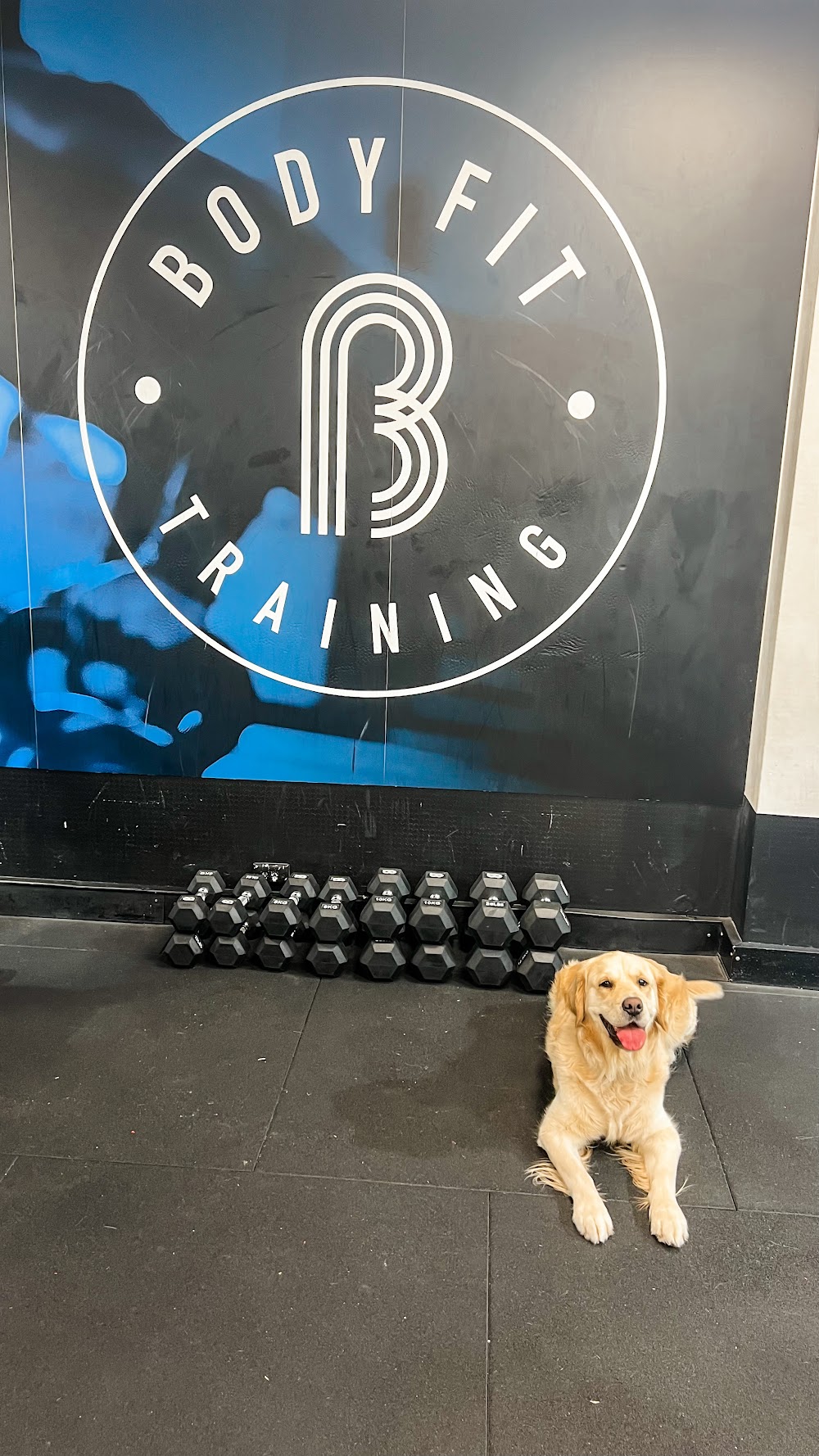 BFT Bayswater — recent fitness center photo in Bayswater VIC 3153, VIC (Google Business Profile)