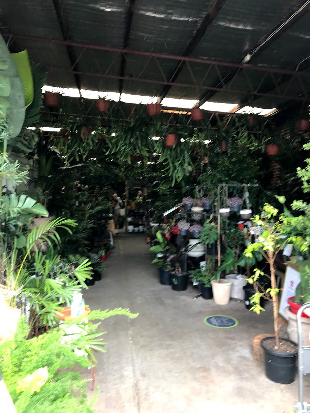 Botanicah — recent garden center photo in Prahran VIC 3181, VIC (Google Business Profile)