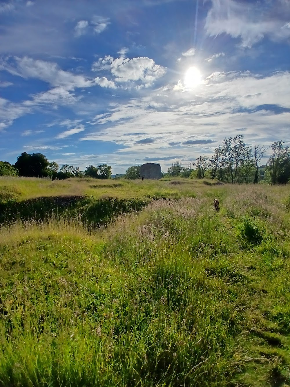 Clarendon Palace — recent historical landmark photo in United Kingdom (Google Business Profile)