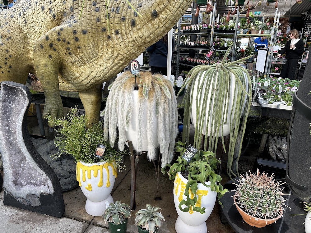Collectors Corner — recent garden center photo in Keysborough VIC 3173, VIC (Google Business Profile)