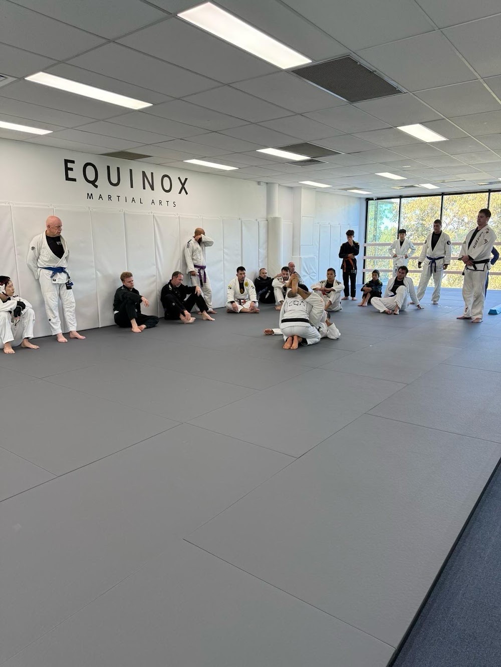Equinox Martial Arts Academy — recent martial arts school photo in Chatswood NSW 2067, NSW (Google Business Profile)