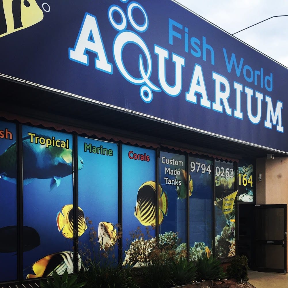 Fish World Aquarium — recent aquarium shop photo in Dandenong VIC 3175, VIC (Google Business Profile)