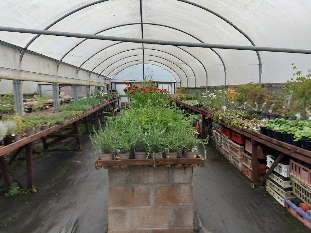 Fordbrook Nursery — recent garden center photo in Plymouth PL8 2FD (Google Business Profile)