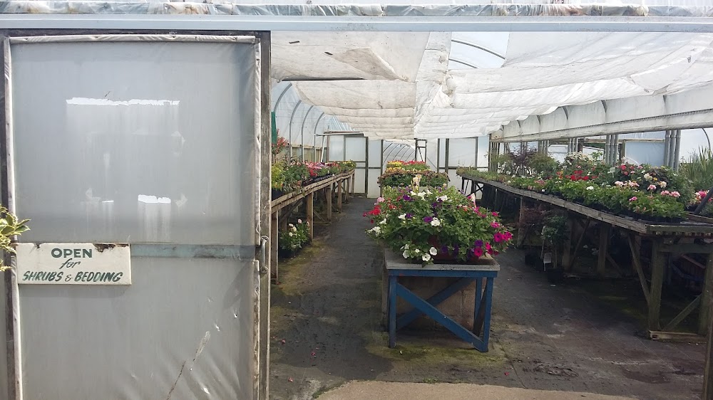 Fordbrook Nursery — recent garden center photo in Plymouth PL8 2FD (Google Business Profile)