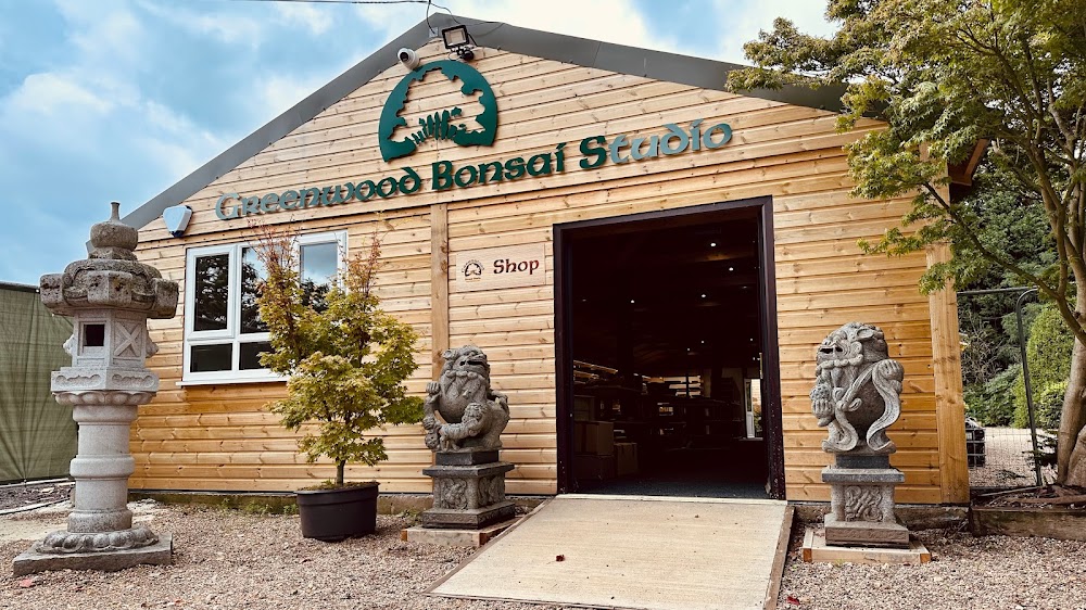 Greenwood Bonsai Studio — recent bonsai plant supplier photo in Nottingham NG5 8PR (Google Business Profile)