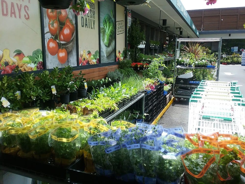 Harris Farm Markets Bowral — recent produce market photo in Bowral NSW 2576, NSW (Google Business Profile)