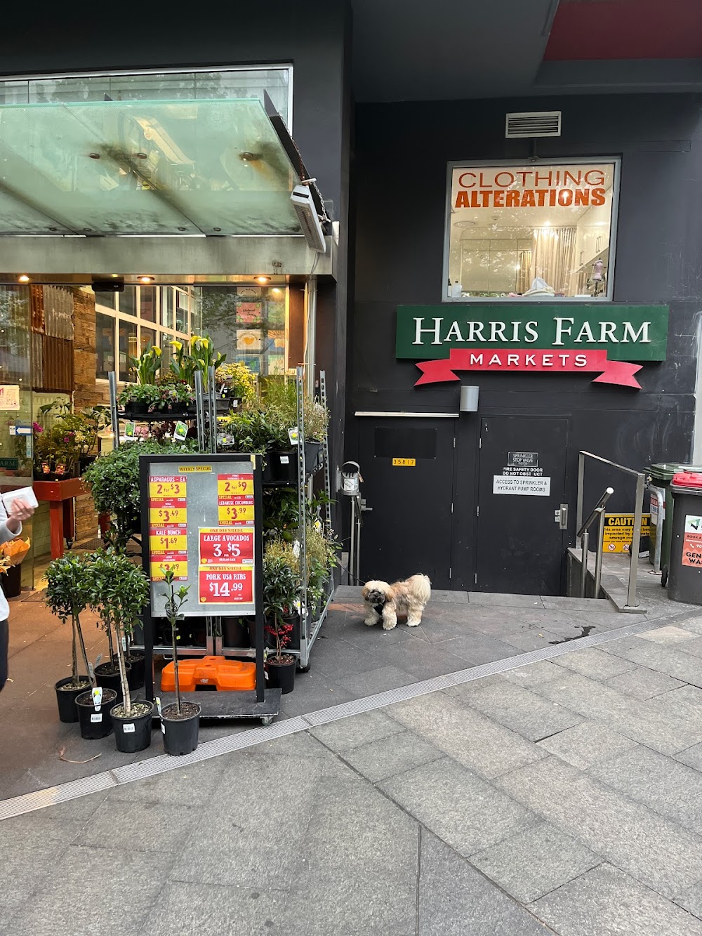 Harris Farm Markets Potts Point — recent produce market photo in Potts Point NSW 2011, NSW (Google Business Profile)