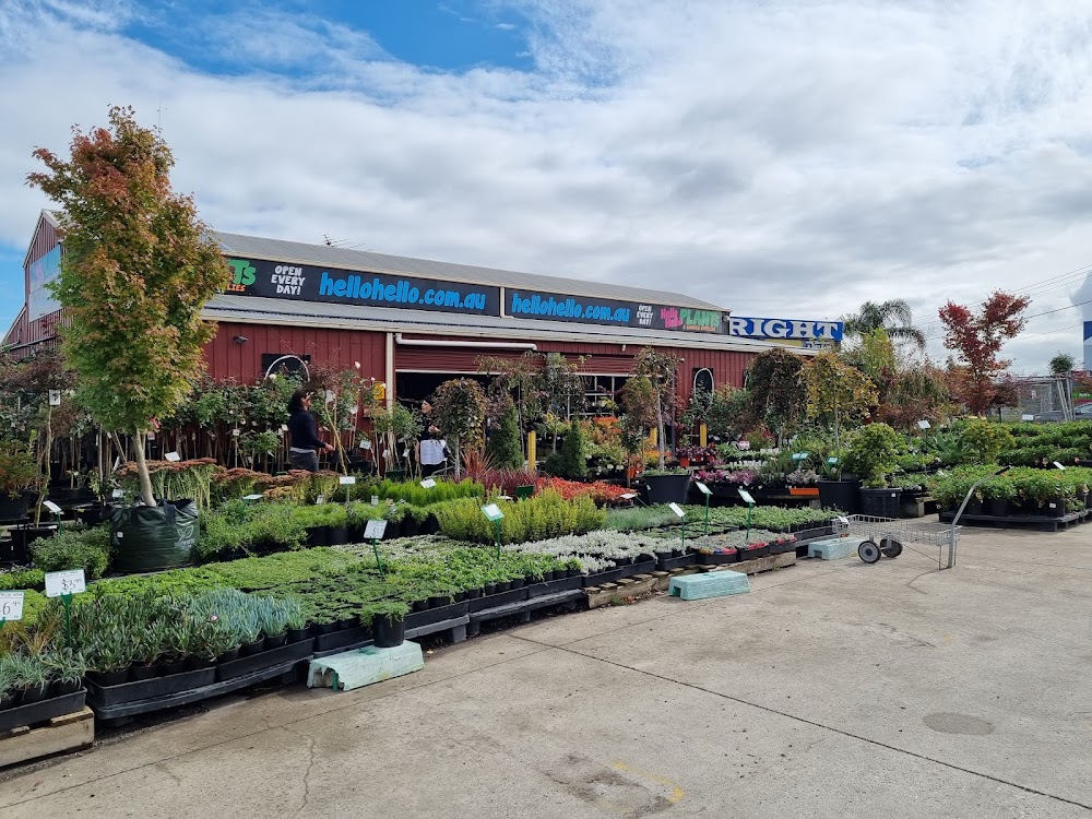 Hello Hello Plants & Garden Supplies — recent garden center photo in Campbellfield VIC 3061, VIC (Google Business Profile)