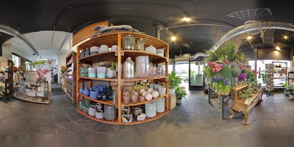 In Full Bloom — recent florist photo in South Melbourne VIC 3205, VIC (Google Business Profile)