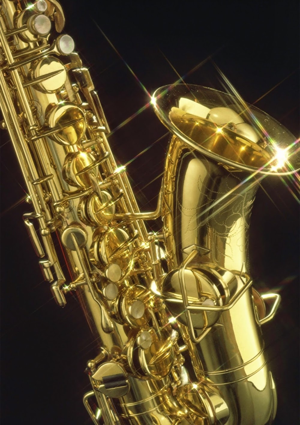 In Tune Music Pty Ltd — recent musical instrument store photo in St Leonards, New South Wales (Google Business Profile)