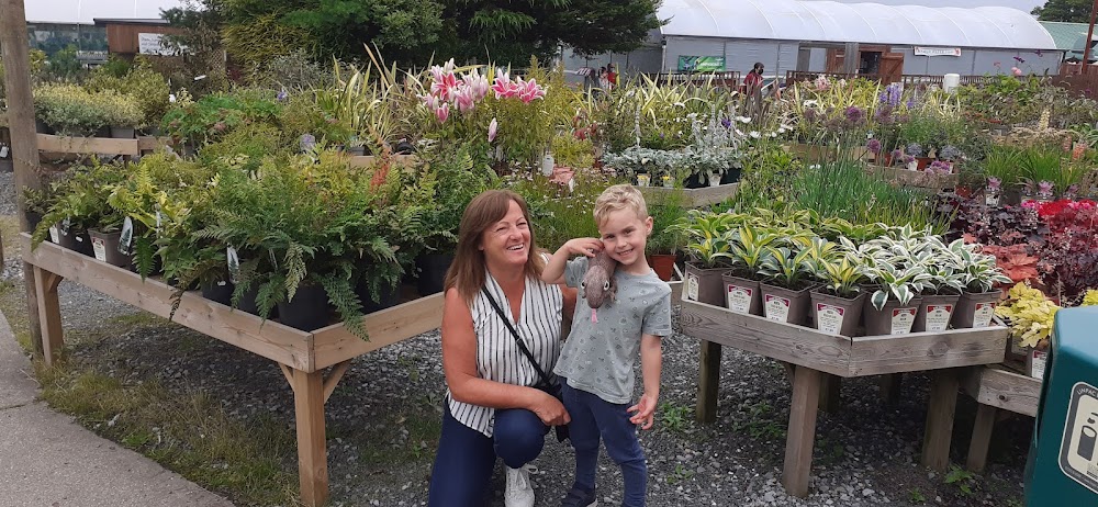 Lanchester Garden Centre — recent garden center photo in Durham DH7 0SS, England (Google Business Profile)