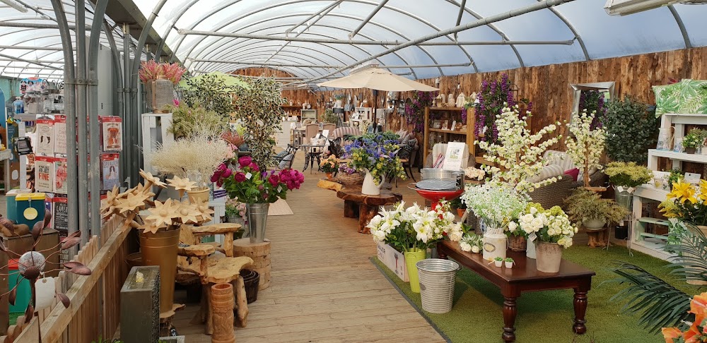 Lanchester Garden Centre — recent garden center photo in Durham DH7 0SS, England (Google Business Profile)