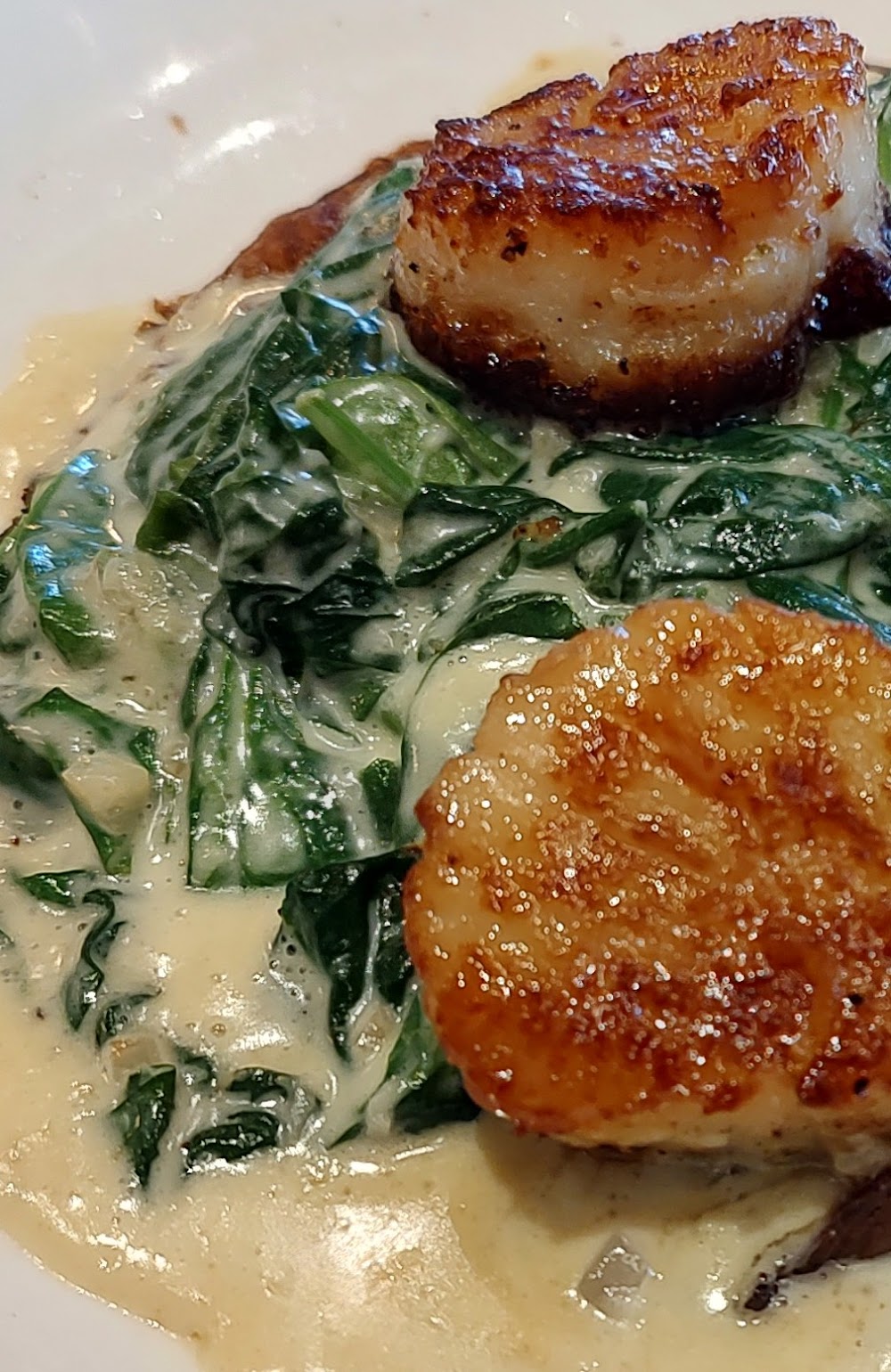Mama's on the Half Shell Owings Mills — recent seafood restaurant photo in Owings Mills, MD (Google Business Profile)