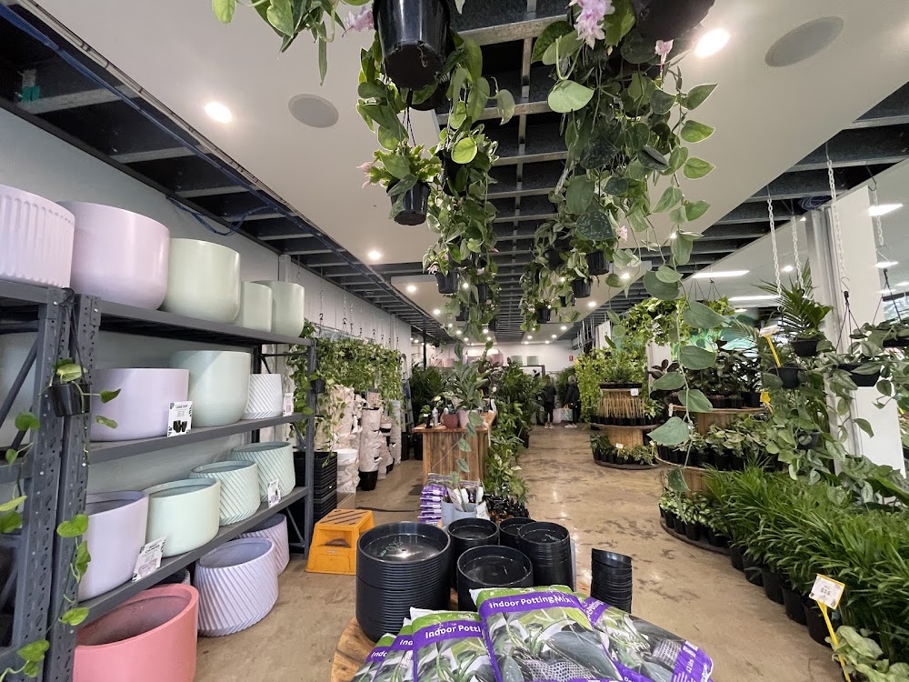 Melbourne Indoor Plants — recent garden center photo in South Melbourne VIC 3205, VIC (Google Business Profile)