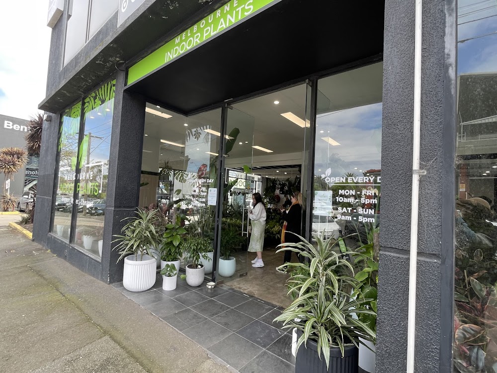 Melbourne Indoor Plants — recent garden center photo in South Melbourne VIC 3205, VIC (Google Business Profile)