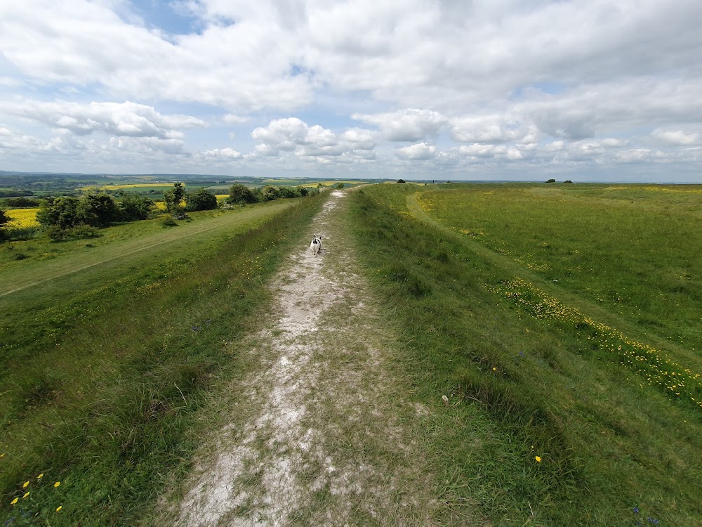 National Trust - Figsbury Ring — recent historical landmark photo in Salisbury SP4 6DT (Google Business Profile)