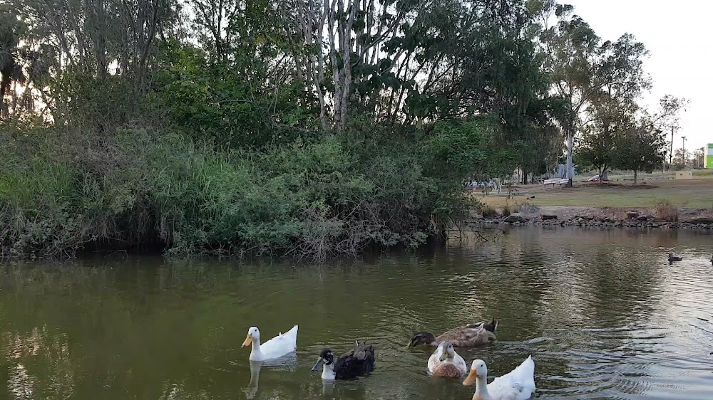 Pan Pacific Peace Gardens — recent beer gardens photo in Redbank, QLD (Google Business Profile)