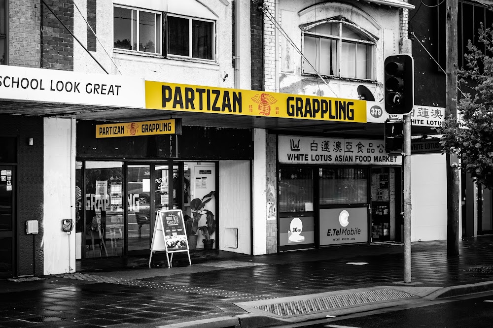 Partizan Grappling Academy: No Gi Jiu-Jitsu & Wrestling — recent martial arts school photo in Kingsford NSW 2032, NSW (Google Business Profile)