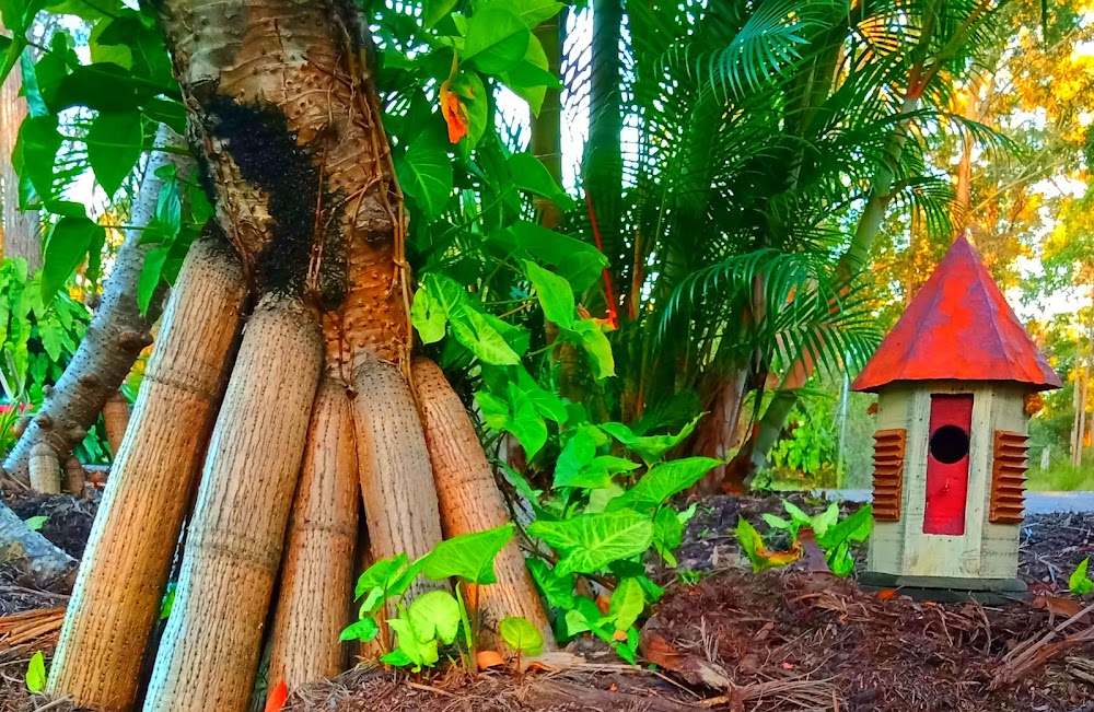 The Limitless Clinic Noosa Intuitive Energy Healing Sunshine Coast — recent alternative medicine practitioner photo in Doonan QLD 4562, QLD (Google Business Profile)
