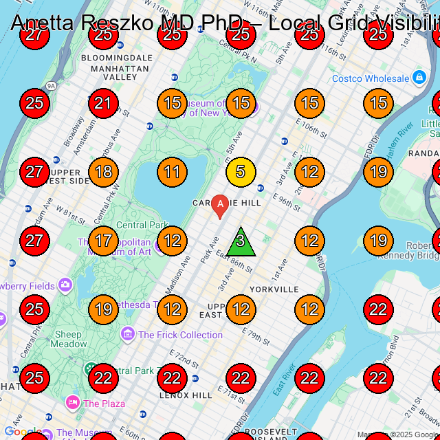 Anetta Reszko MD PhD GeoGrid visibility map for Medical Office in New York