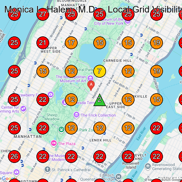 Monica L. Halem, M.D. GeoGrid visibility map for Jewelry Store in None