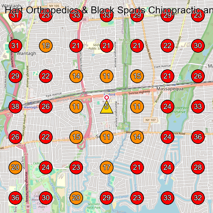 Hart Orthopedics & Block Sports Chiropractic and Physical Therapy (Formerly Massapequa Pain Management & Rehabilitation) GeoGrid visibility map for Chiropractor in Massapequa