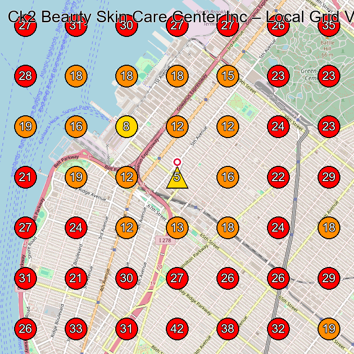 Ck2 Beauty Skin Care Center Inc GeoGrid visibility map for Massage Spa in Brooklyn