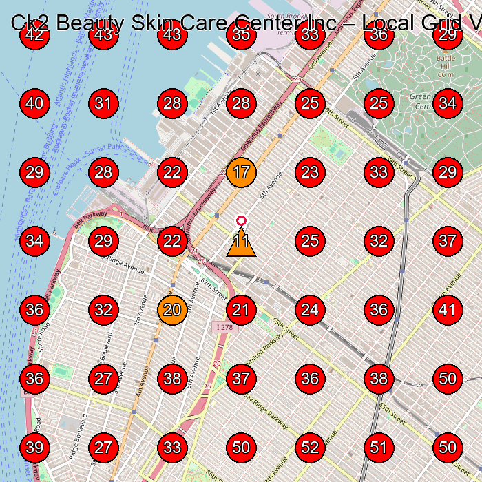 Ck2 Beauty Skin Care Center Inc GeoGrid visibility map for Massage Spa in Brooklyn