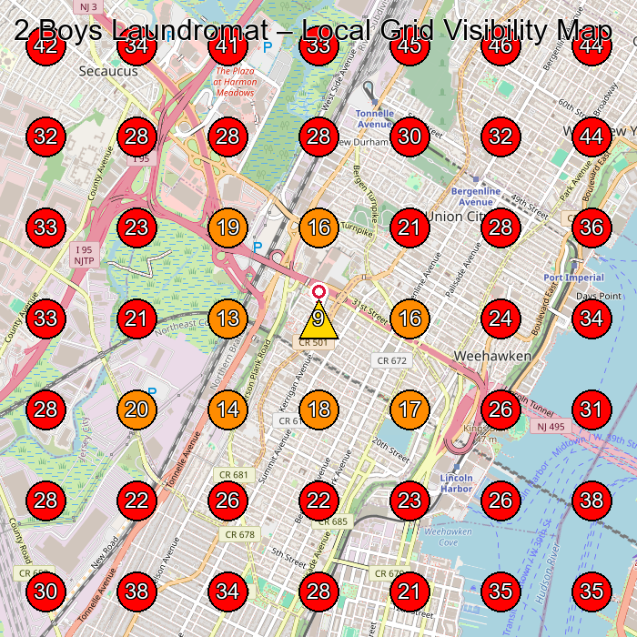2 Boys Laundromat GeoGrid visibility map for Dry Cleaner in Union City