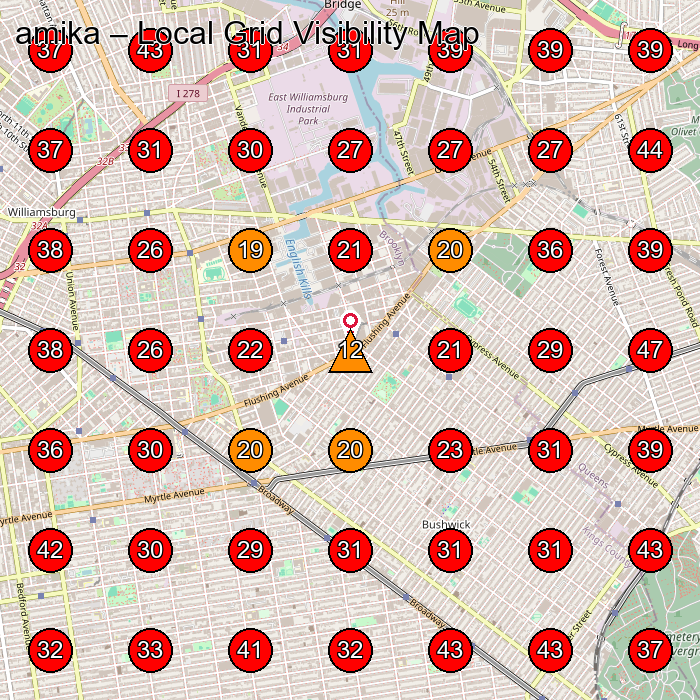 amika GeoGrid visibility map for Manufacturer in Brooklyn