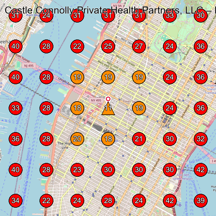 Castle Connolly Private Health Partners, LLC GeoGrid visibility map for Social Services Organization in New York
