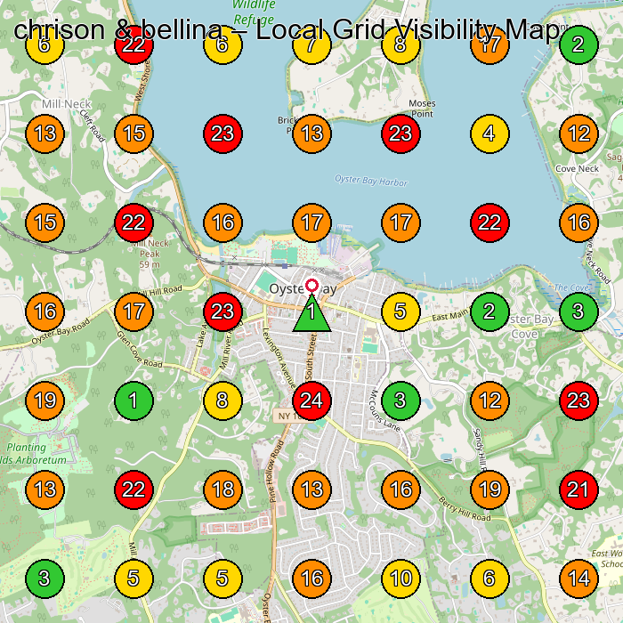 chrison & bellina Boutique GeoGrid ranking map for Oyster Bay NY