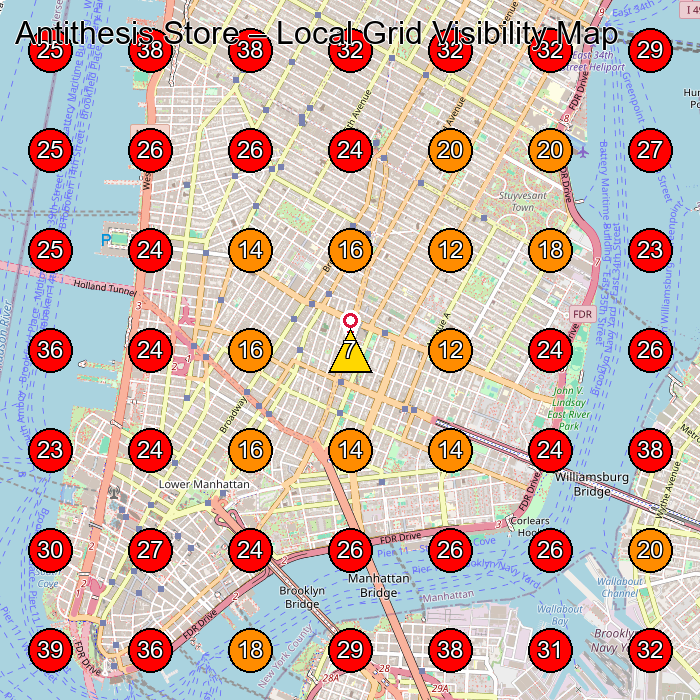 Antithesis Store GeoGrid visibility map for Boutique in New York