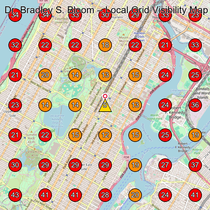 Dr. Bradley S. Bloom GeoGrid visibility map for Dermatologist in New York