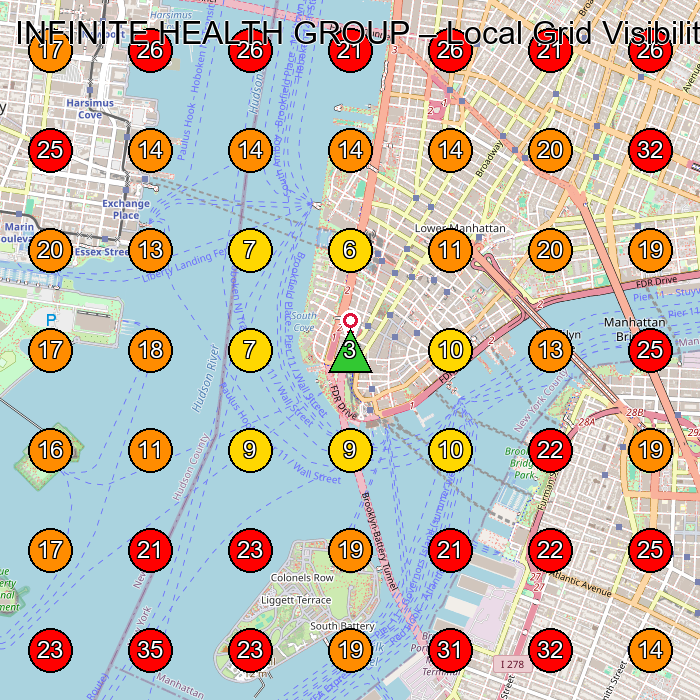 INFINITE HEALTH GROUP GeoGrid visibility map for Chiropractor in New York