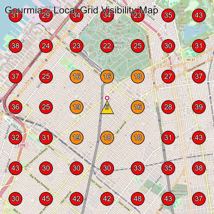 Gourmia GeoGrid visibility map for Wholesaler in Brooklyn