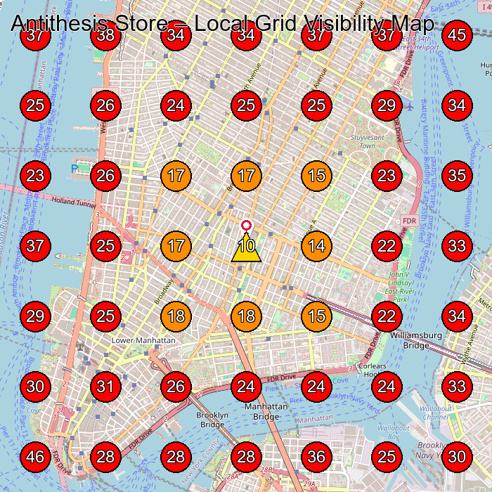 Antithesis Store GeoGrid visibility map for Boutique in New York