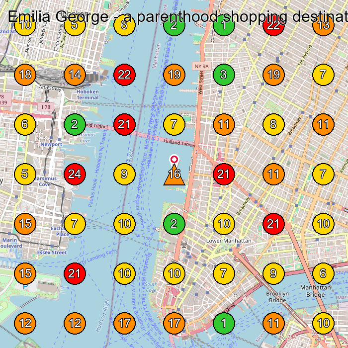 Emilia George - a parenthood shopping destination Boutique GeoGrid ranking map for New York NY