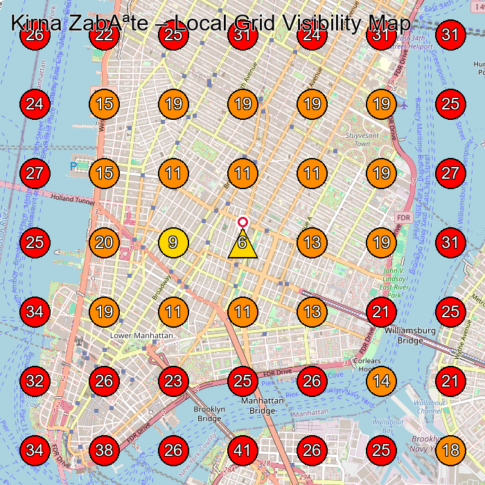 Kirna ZabAªte GeoGrid visibility map for Boutique in New York