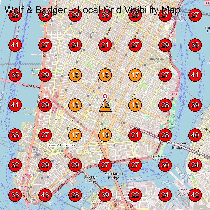 Wolf & Badger GeoGrid visibility map for Boutique in New York